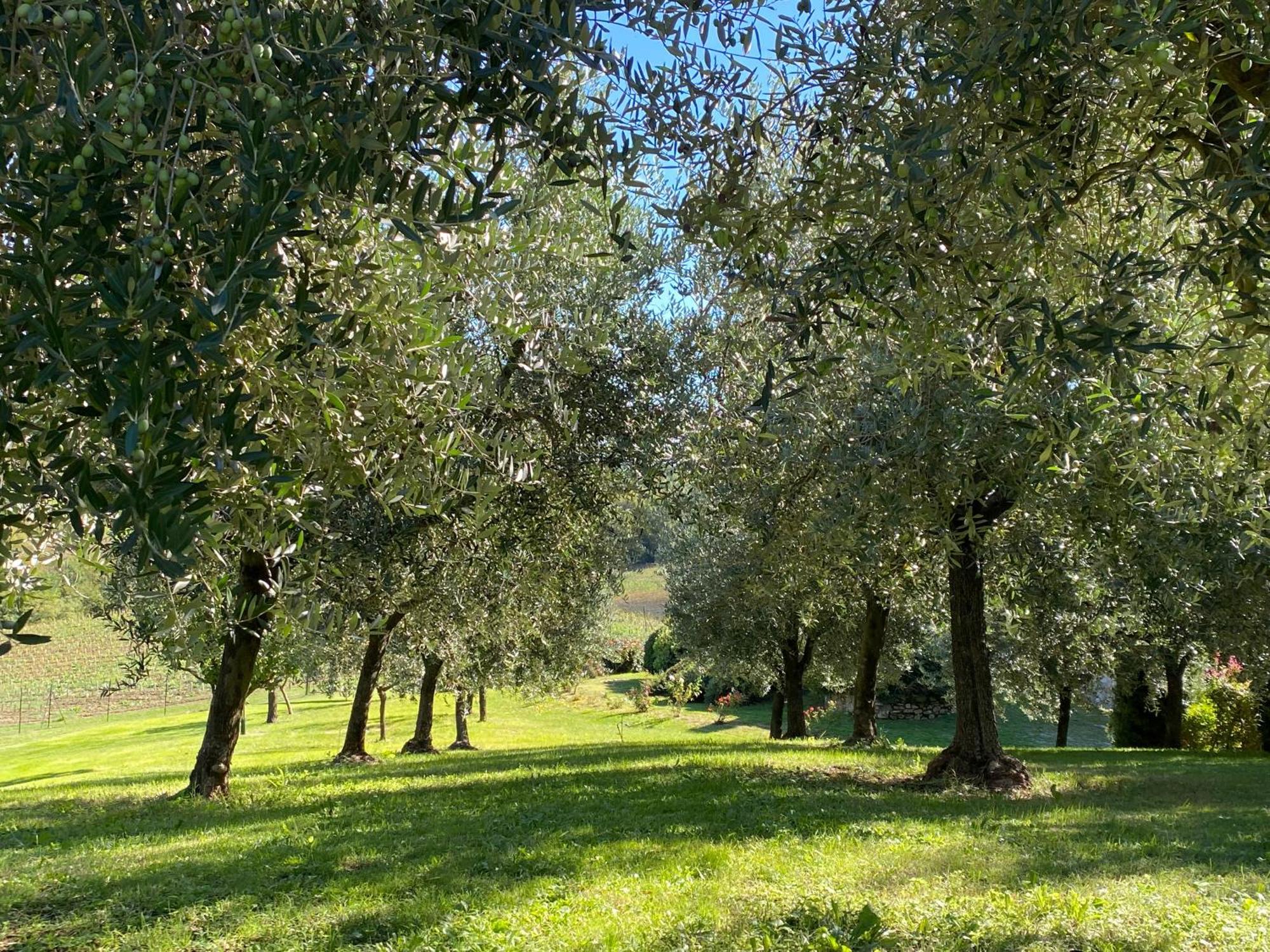 Podere Casanuova 산지미냐노 외부 사진